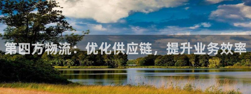 28圈ccm游戏：第四方物流：优化供