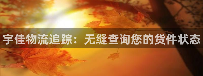 28圈正规吗