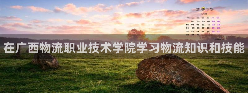 28圈分分压单双技巧：在广西物流职业