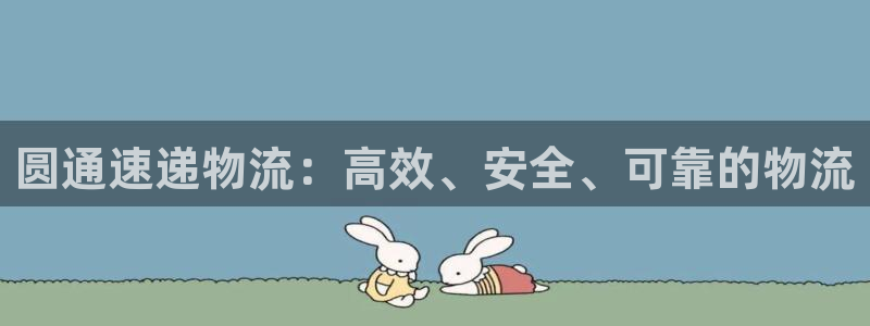 28圈账号注册：圆通速递物流：高效、