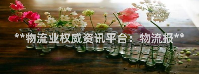 28圈选28ng官网