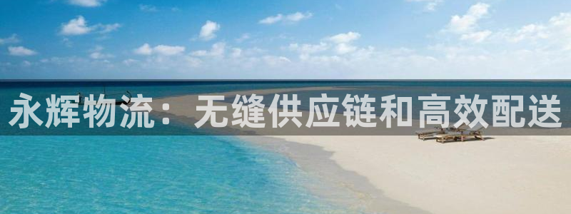 28圈的自行车：永辉物流：无缝供应链