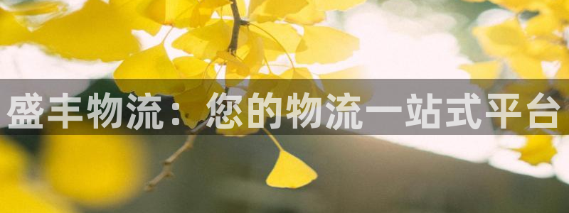 28圈流水怎么算：盛丰物流：您的物流