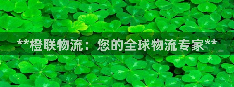 28圈现在狂杀：**橙联物流：您的全