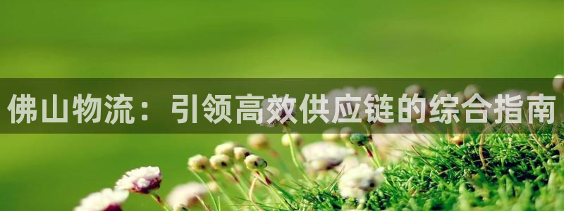 28圈加拿大模拟器：佛山物流：引领高