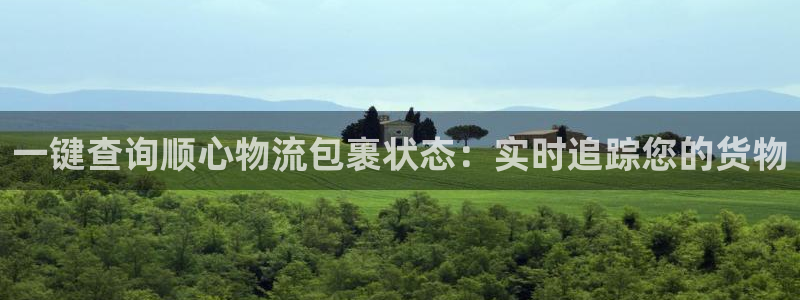 28圈圈助手：一键查询顺心物流包裹状