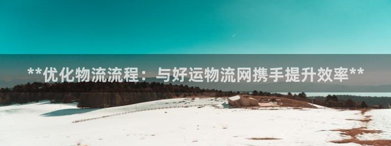 28圈怎么注册下载：**优化物流流程