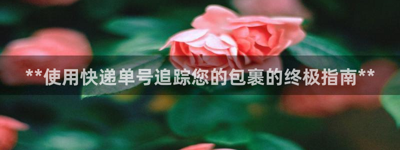 28圈为什么打不开