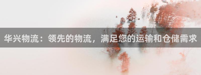28圈相信品牌的力量：华兴物流：领先