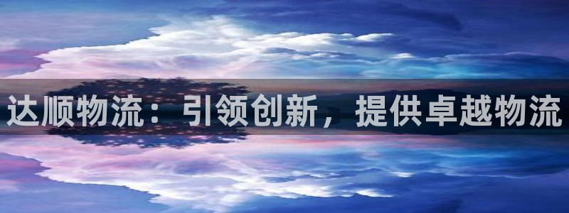 28圈充值不到账：达顺物流：引领创新