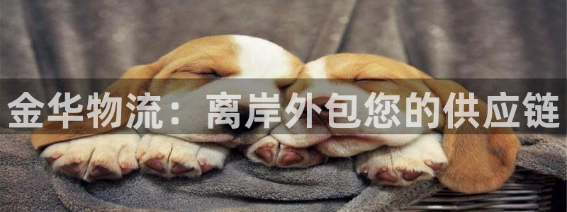 28圈是正规平台吗