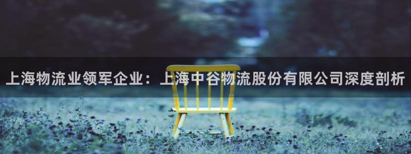 28圈官方官网版：上海物流业领军企业