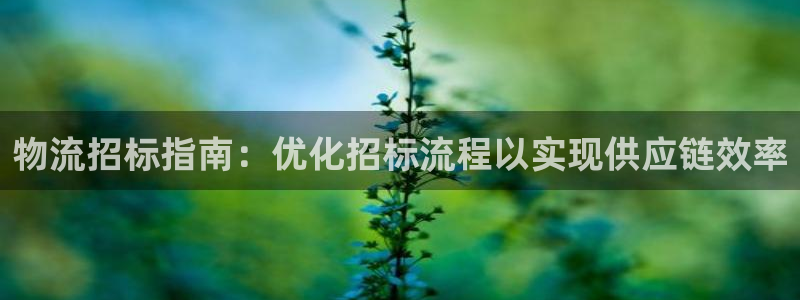 28圈登录流程：物流招标指南：优化招