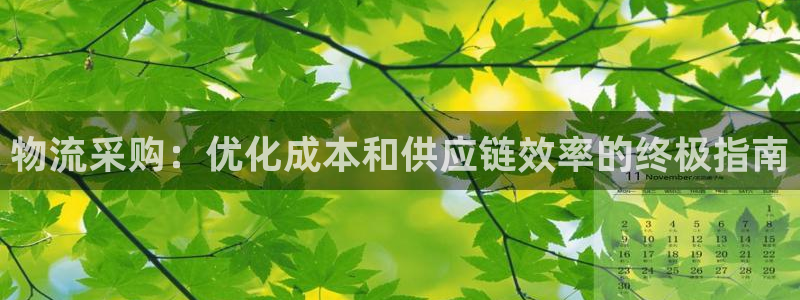 28圈官网开奖结果预测：物流采购：优