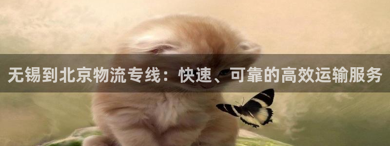 28圈官网平台