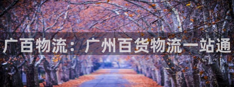 加拿大28圈注册链接：广百物流：广州