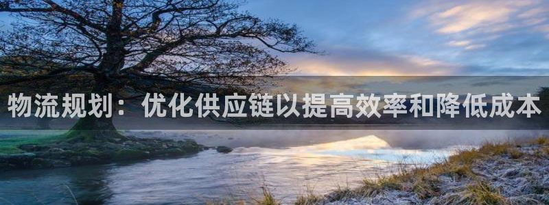 28圈推广链接是多少粉丝：物流规划：