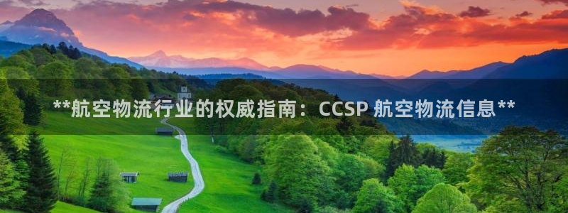 28圈口戒指是多大：**航空物流行业