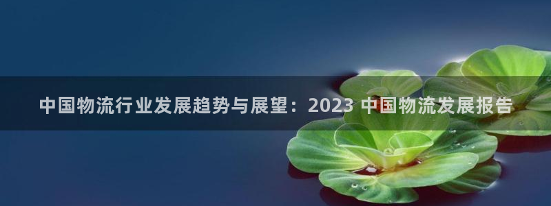 28圈人工客服电话是什么：中国物流行