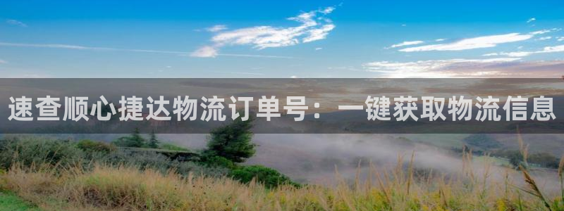 28圈登录用户名登录不上：速查顺心捷