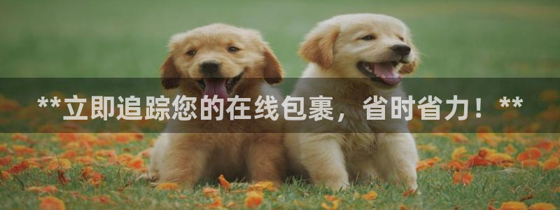 28圈激活码