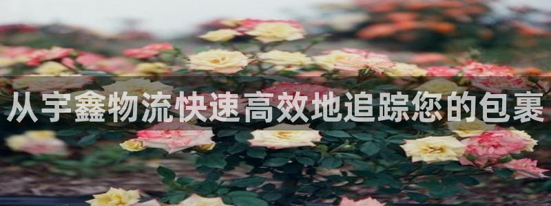 28圈口：从宇鑫物流快速高效地追踪您