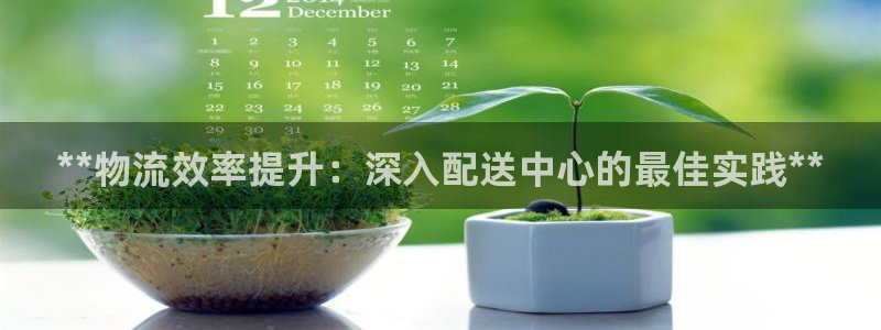 28圈平台注册：**物流效率提升：深