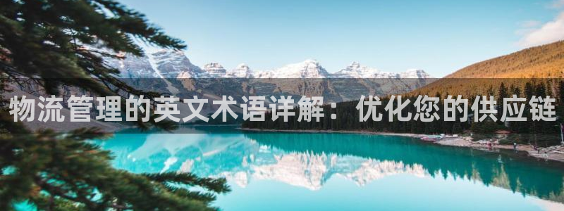 28圈现在狂杀