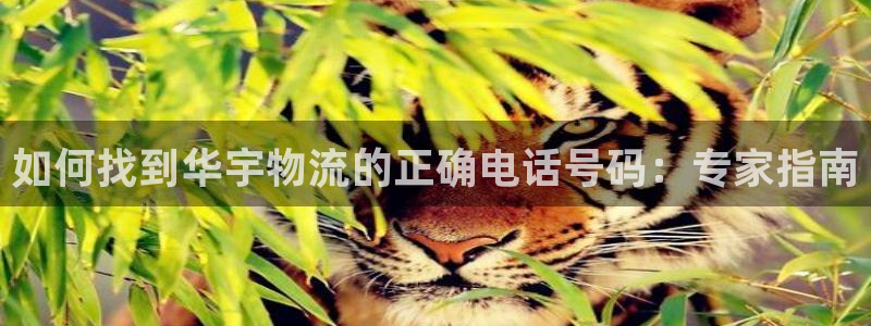28圈cn
