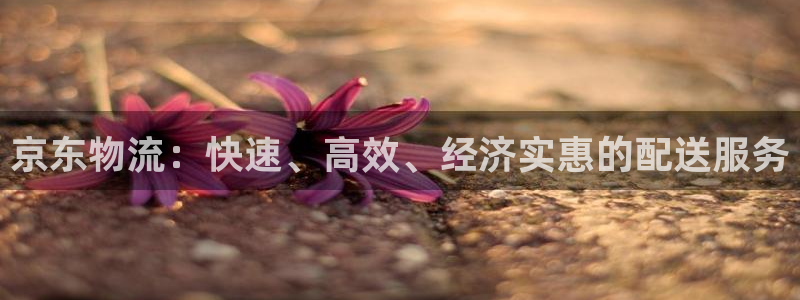28圈注册二维码：京东物流：快速、高