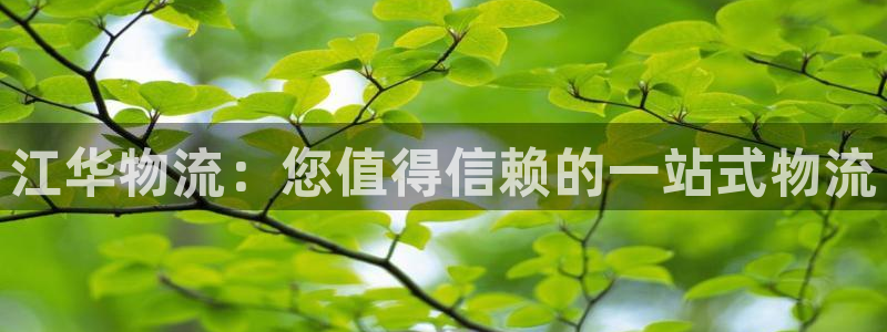 28圈官网开奖结果预测：江华物流：您