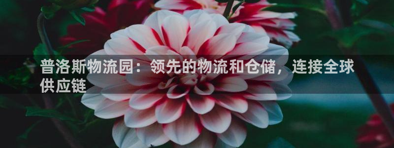 28圈麻将胡了在线试玩：普洛斯物流园