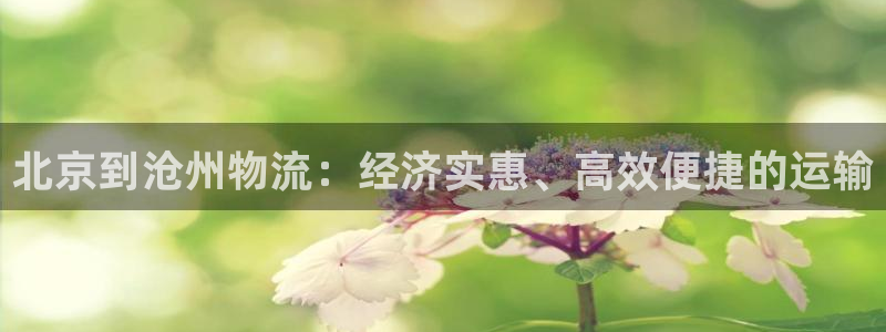 28圈大舞台