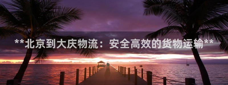 28圈模拟：**北京到大庆物流：安全