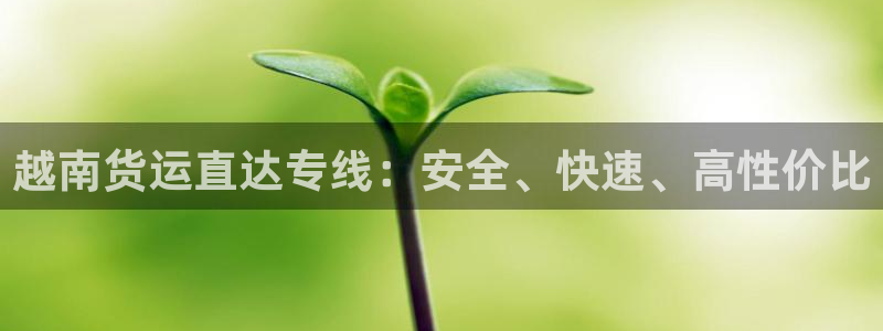 28圈ip被限制怎么解决：越南货运直