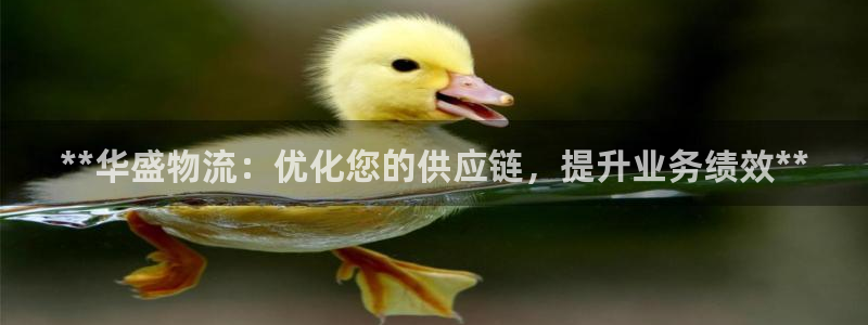 28圈下载不了