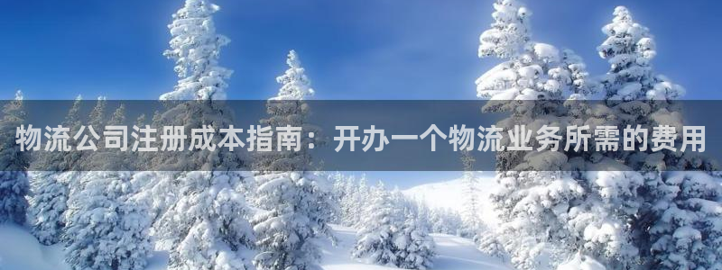 28圈返水怎么算的：物流公司注册成本