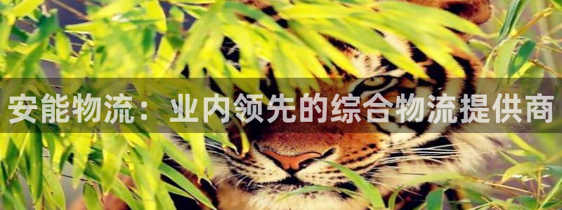 28圈模拟