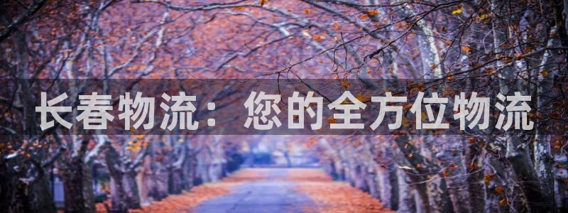 28圈网站平台是多少