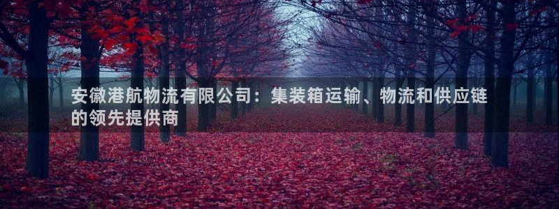 28圈相信品牌的力量
