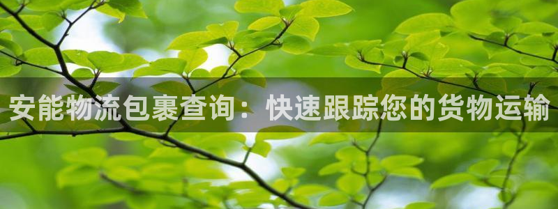 28圈软件