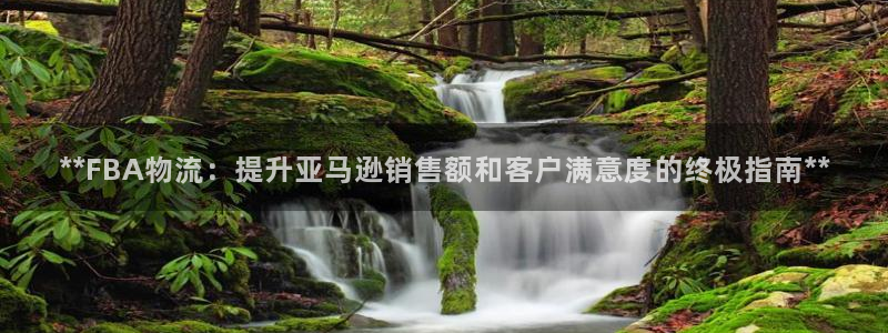 28圈可靠吗：**FBA物流：提升亚