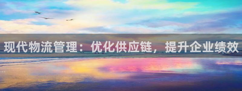 28圈正规吗：现代物流管理：优化供应