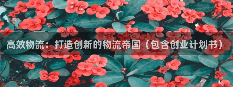 28圈账号注册