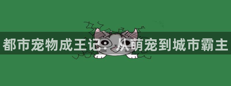 28圈ip被限制怎么解决