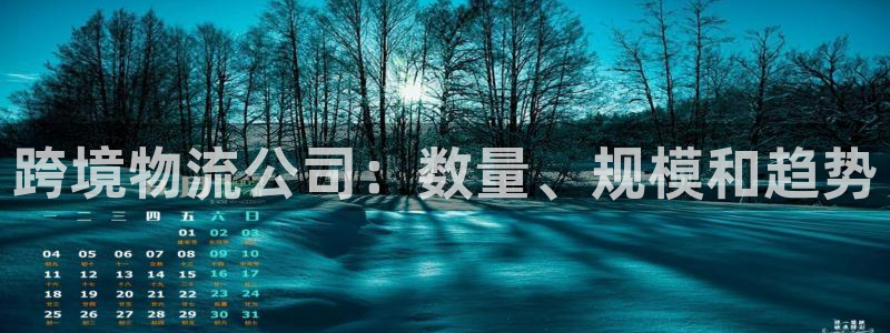 28圈游戏：跨境物流公司：数量、规模