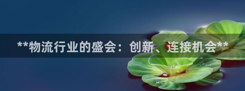 28圈开奖预测：**物流行业的盛会：
