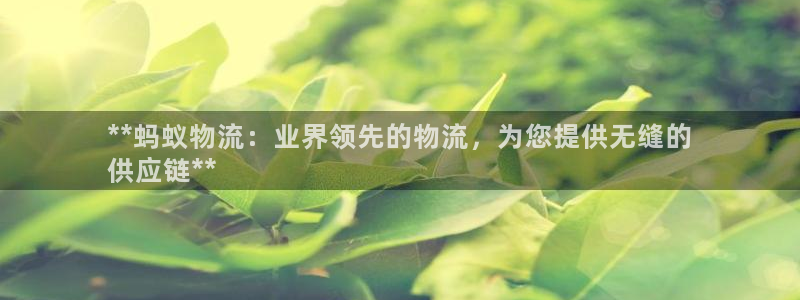 28圈图片：**蚂蚁物流：业界领先的
