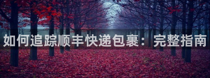 28圈女王中奖记录查询