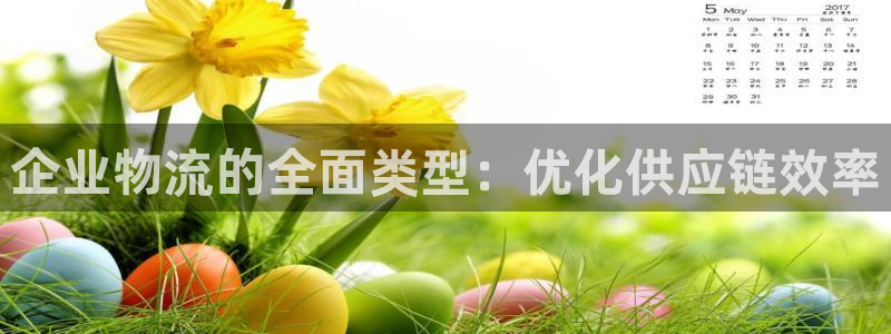 28圈比特28真实吗：企业物流的全面